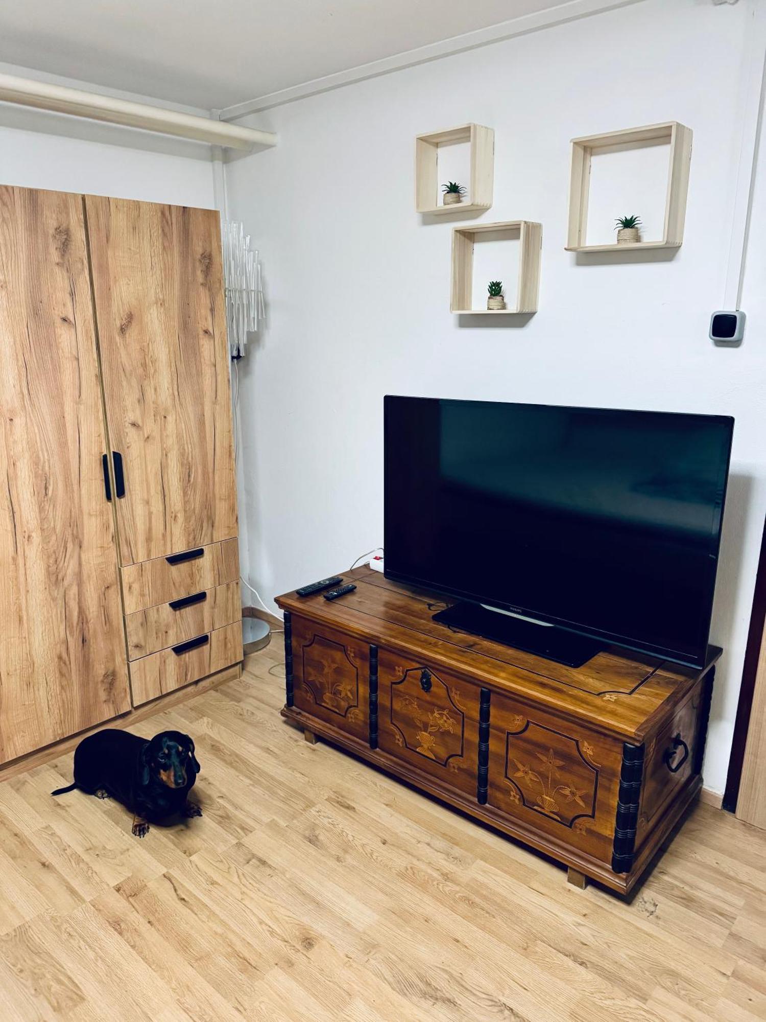 בפורטורוז Moon Bay Apartment - Free Large Parking מראה חיצוני תמונה